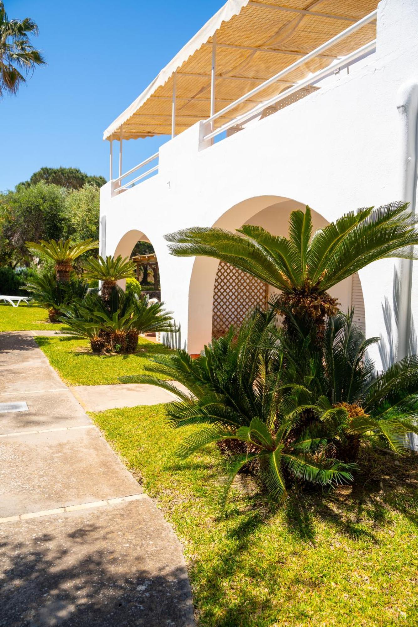 Residence Palummera Ischia Extérieur photo