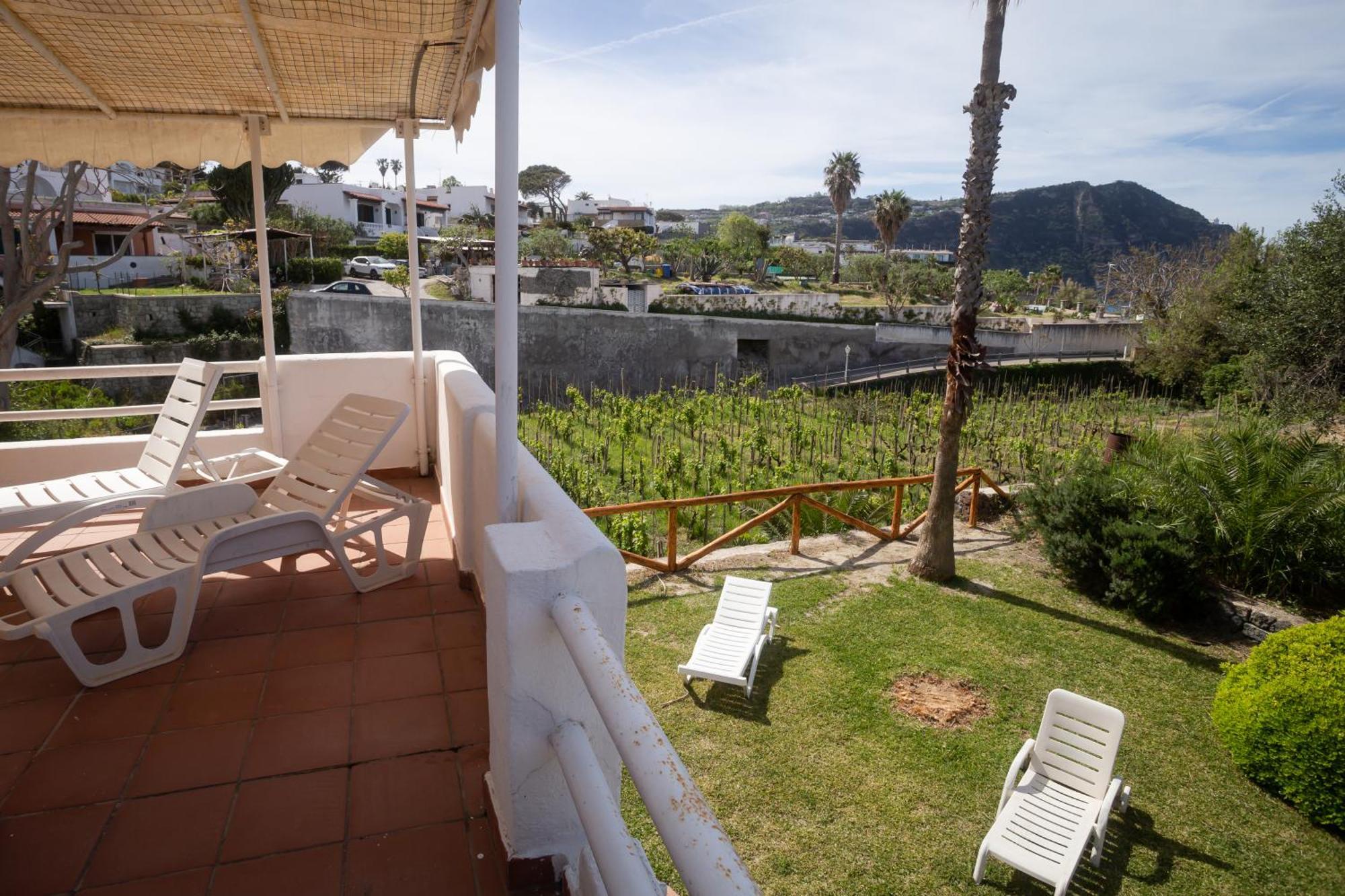 Residence Palummera Ischia Extérieur photo